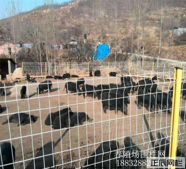 1646268557181910.jpg timg.jpg