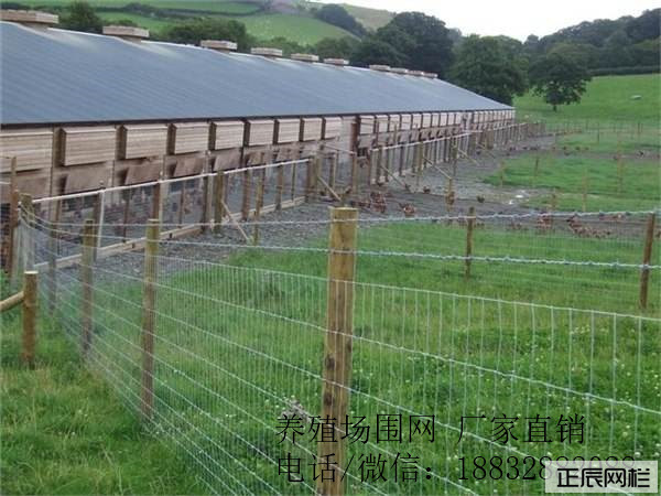 牧場(chǎng)圍欄網(wǎng)