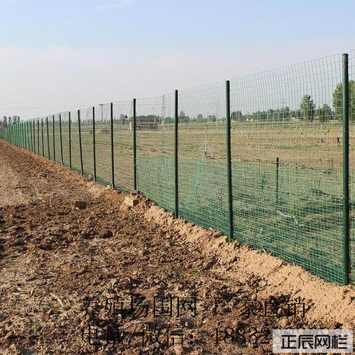 牧場(chǎng)圍欄網(wǎng)