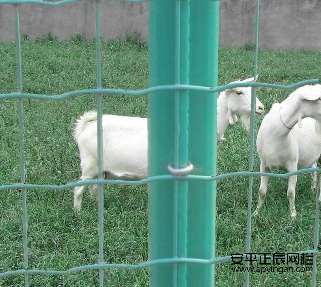 1652403004762246.jpg 4af025cd996f4142a5fd6ab15db284ab_th.jpg