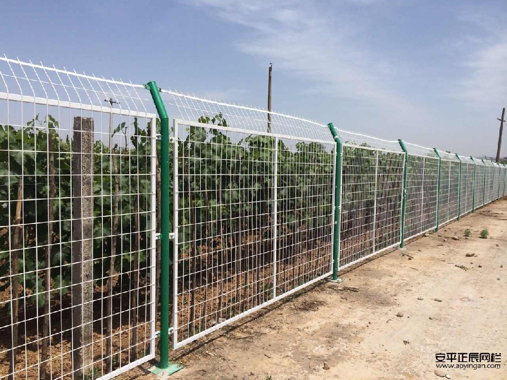 農田護欄網多少錢一米