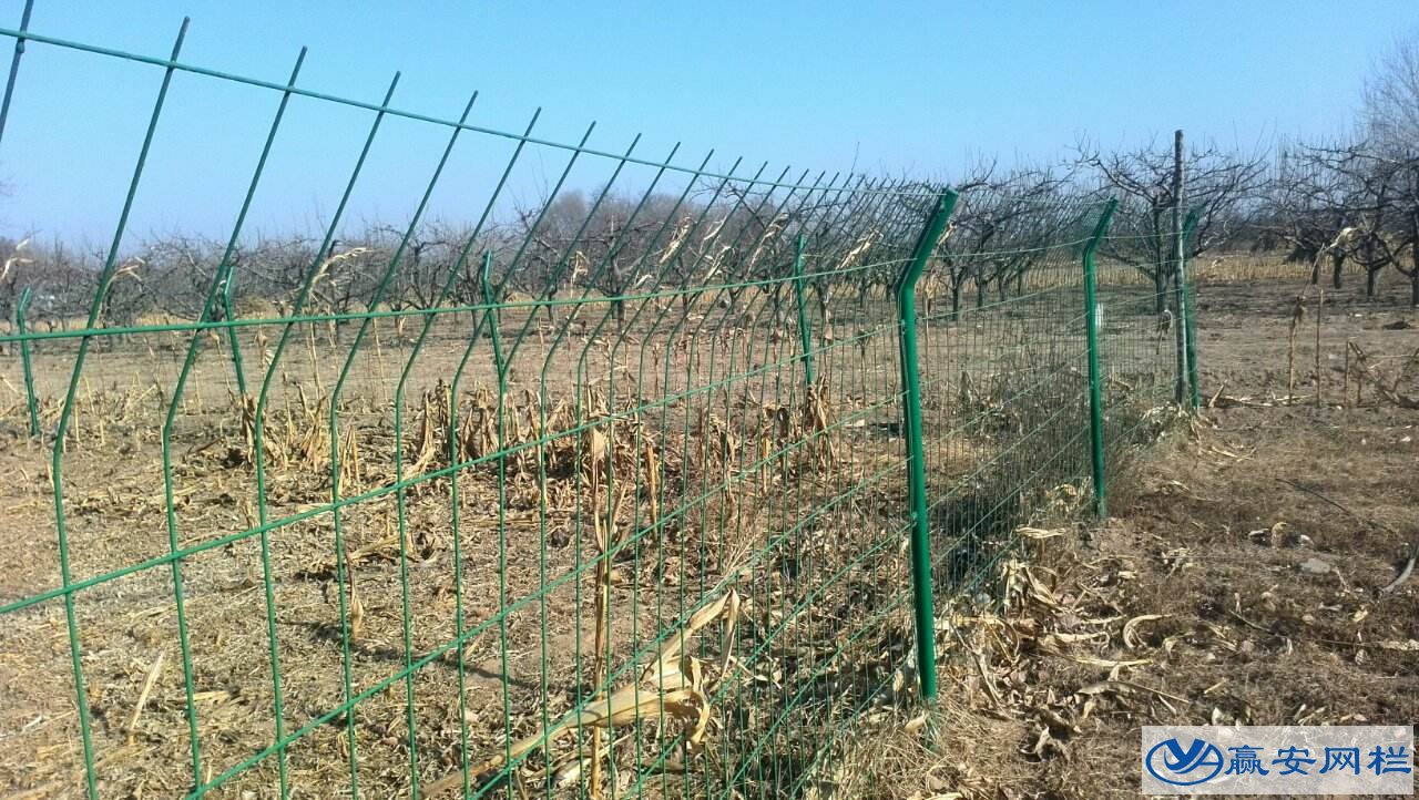果園護欄網(wǎng)