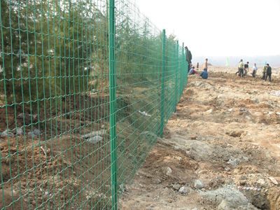 鐵絲網(wǎng)圍欄