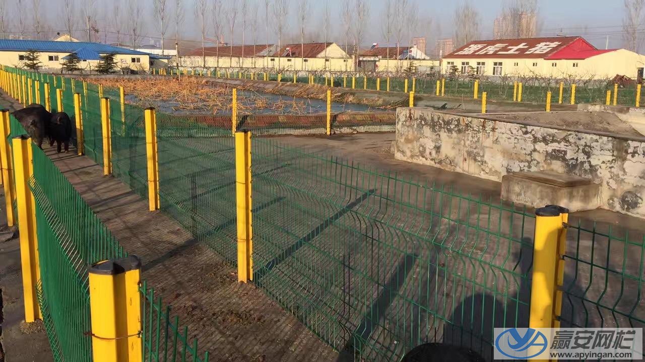 養豬場護欄網 養豬護欄網