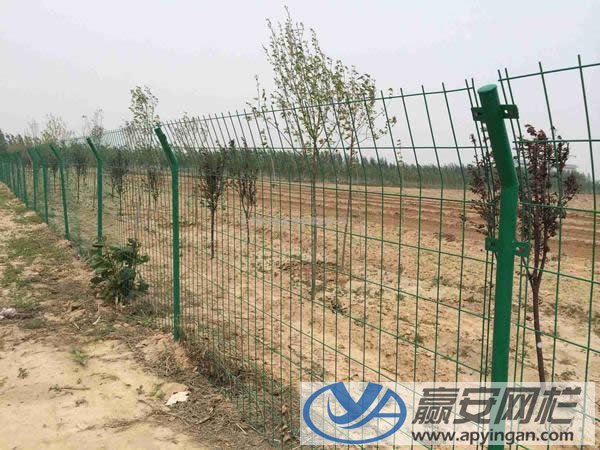 雙邊式圈地圍欄網(wǎng) 圈地圍欄網(wǎng)