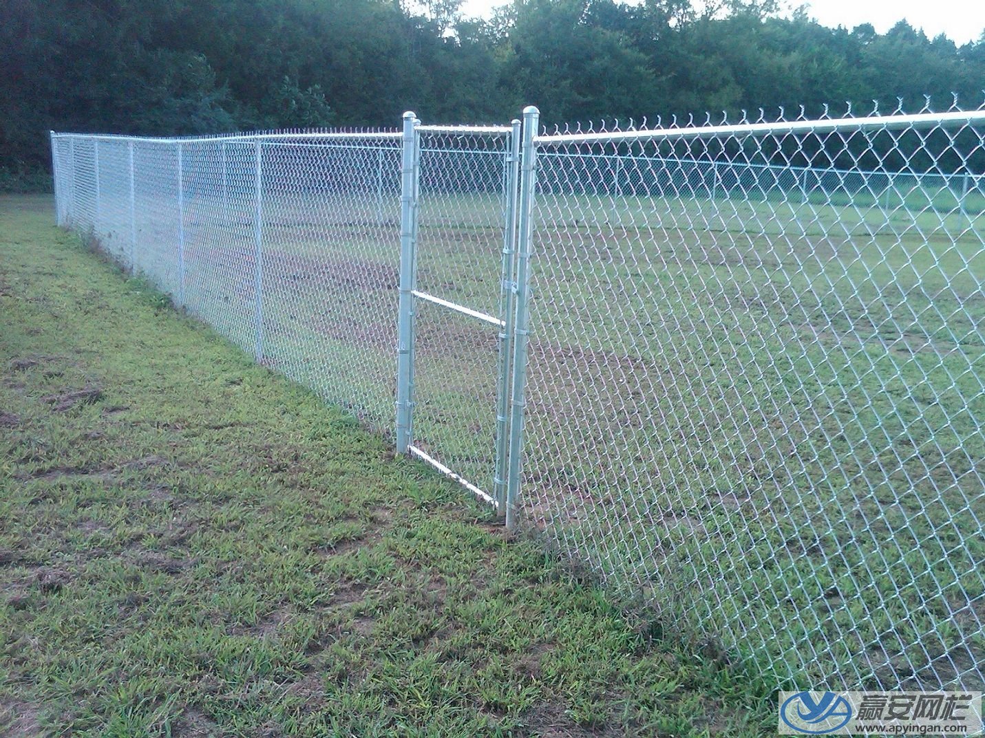 勾花式圈地圍欄網(wǎng) 圈地圍欄網(wǎng)