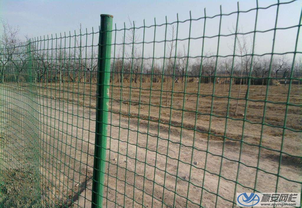鐵絲網圍欄之養殖圍欄網 鐵絲網圍欄