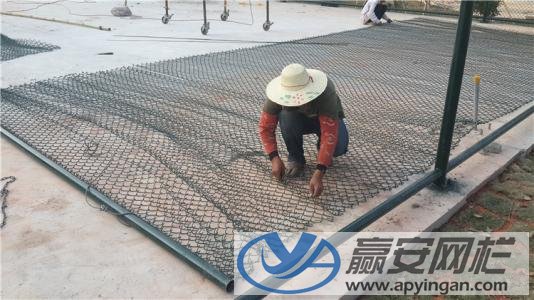 體育場綠色圍網