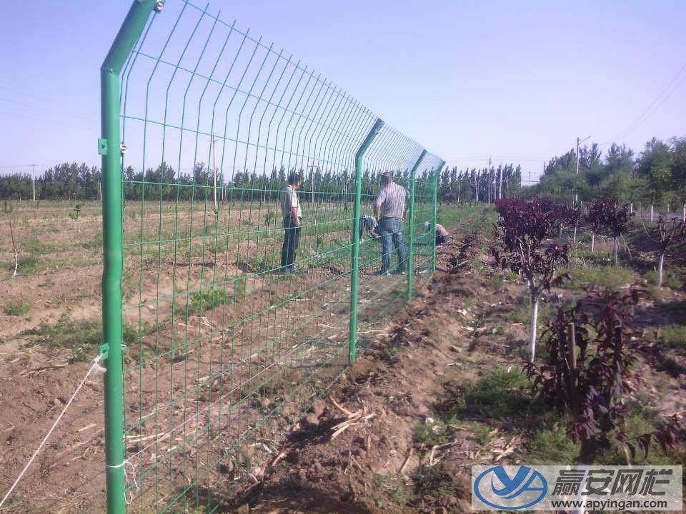 雙邊式土地圍欄網(wǎng) 土地圍欄網(wǎng)