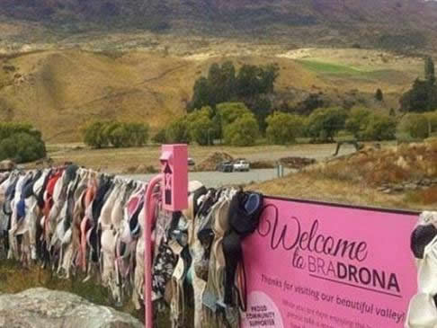 新西蘭內衣圍欄