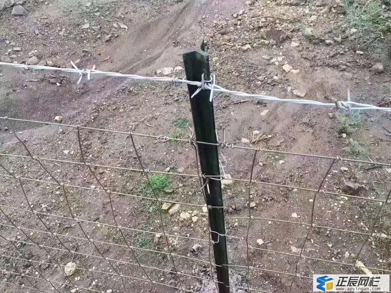 牛欄網立柱 牛欄網立柱