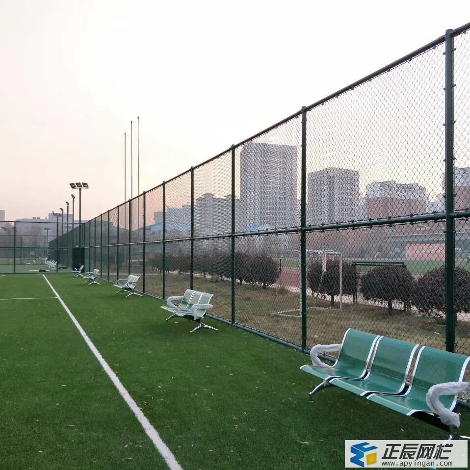 學(xué)校護(hù)欄網(wǎng)