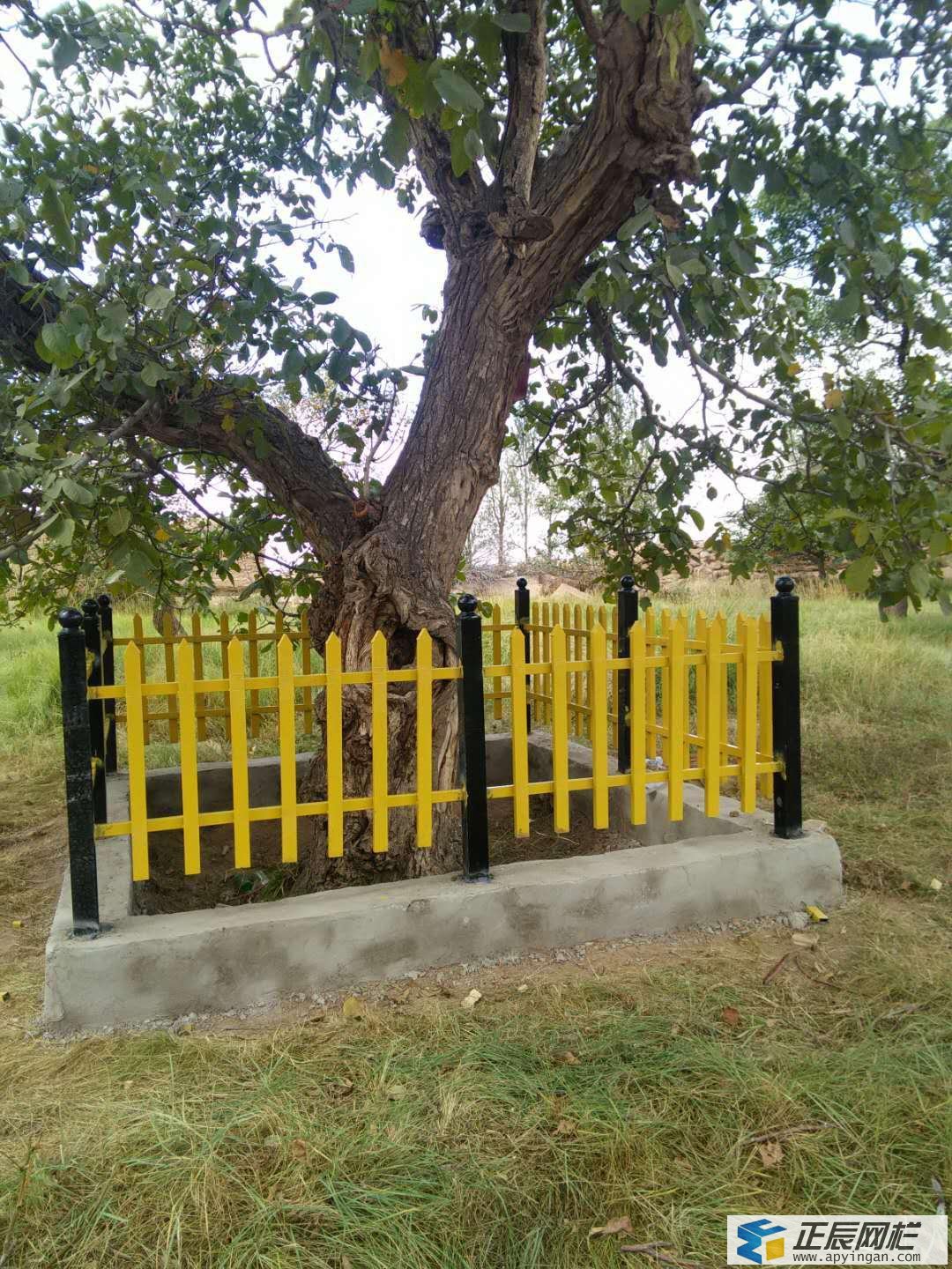 樹(shù)木護(hù)欄