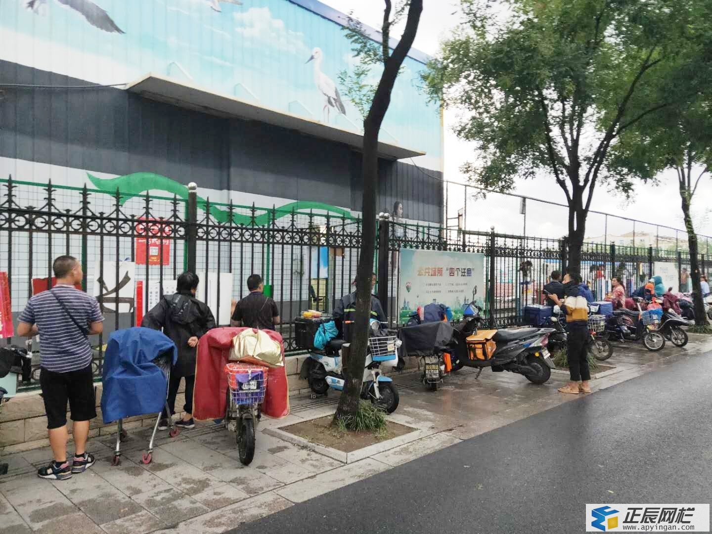 校園隔離護(hù)欄