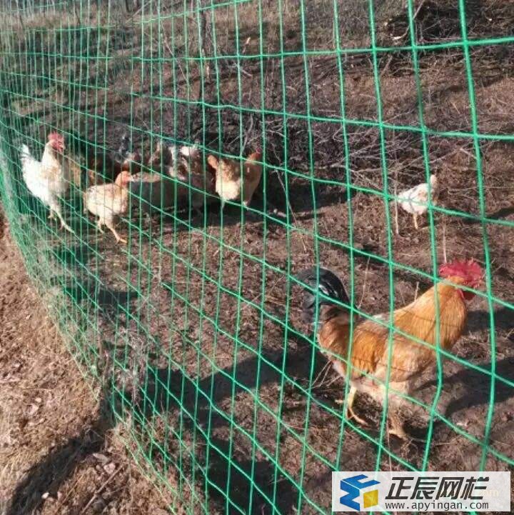 養殖護欄網 護欄網價格