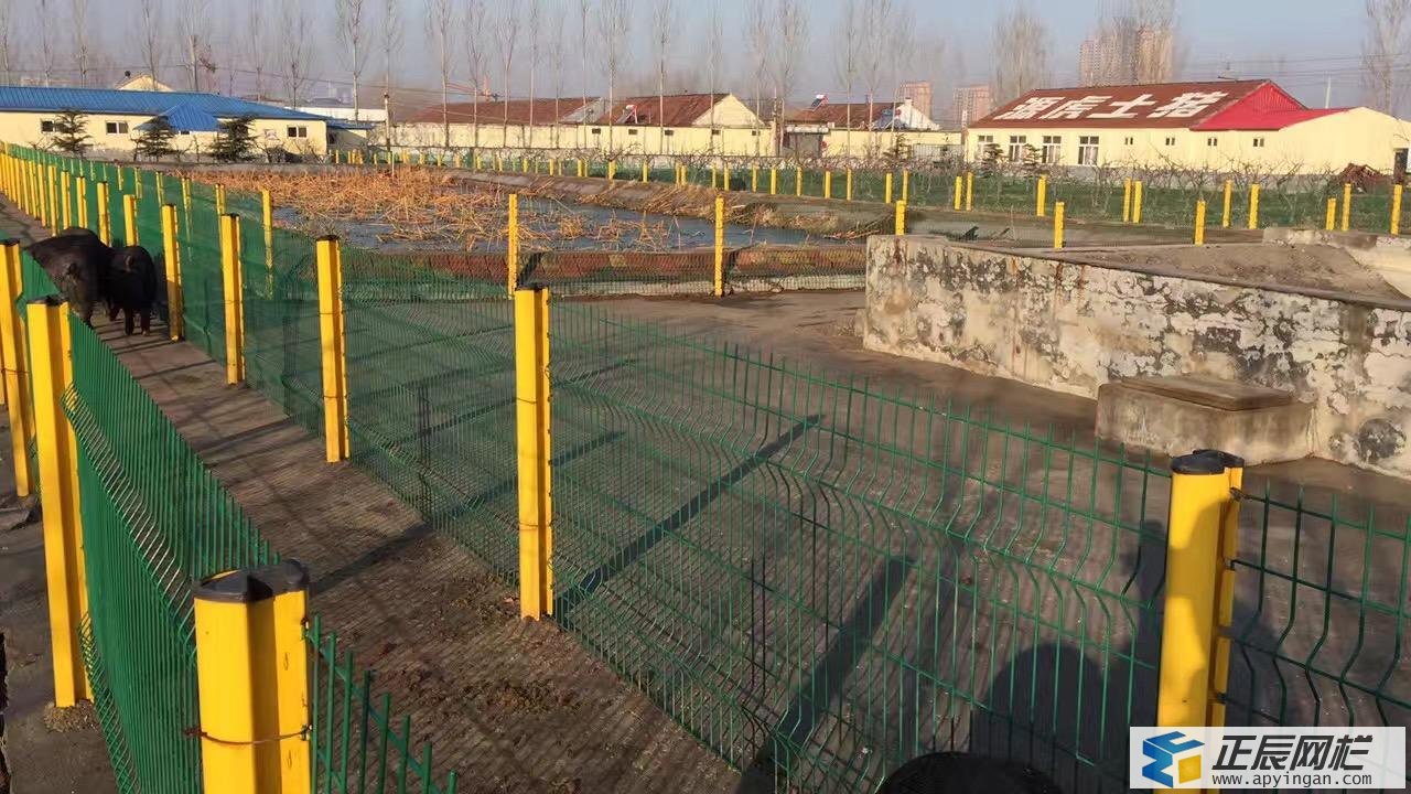 養豬場護欄網 護欄網價格