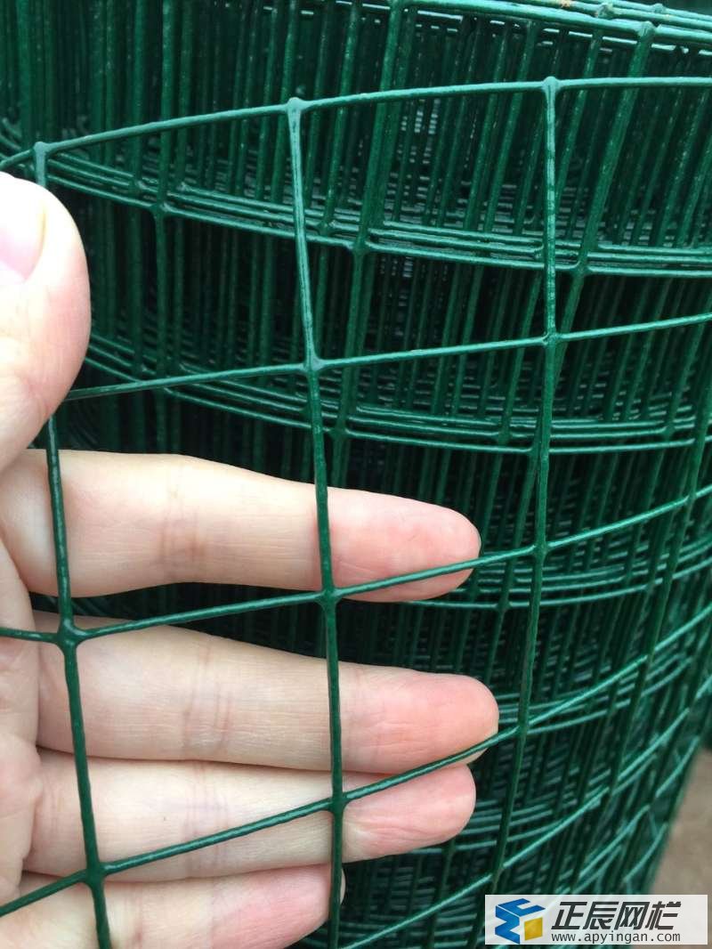 荷蘭網(wǎng) 護(hù)欄網(wǎng)
