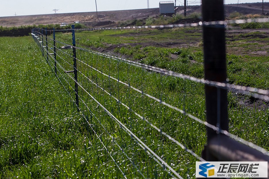 牛欄網(wǎng) 圍欄