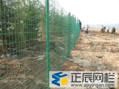 果園護(hù)欄網(wǎng)
