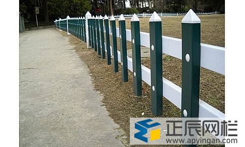 天津鋅鋼草坪護(hù)欄