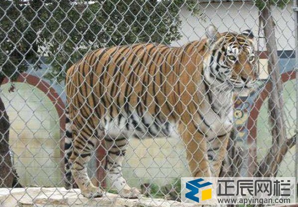 老虎護(hù)欄勾花網(wǎng)