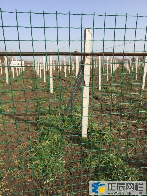 農場和果園圍欄網(wǎng)