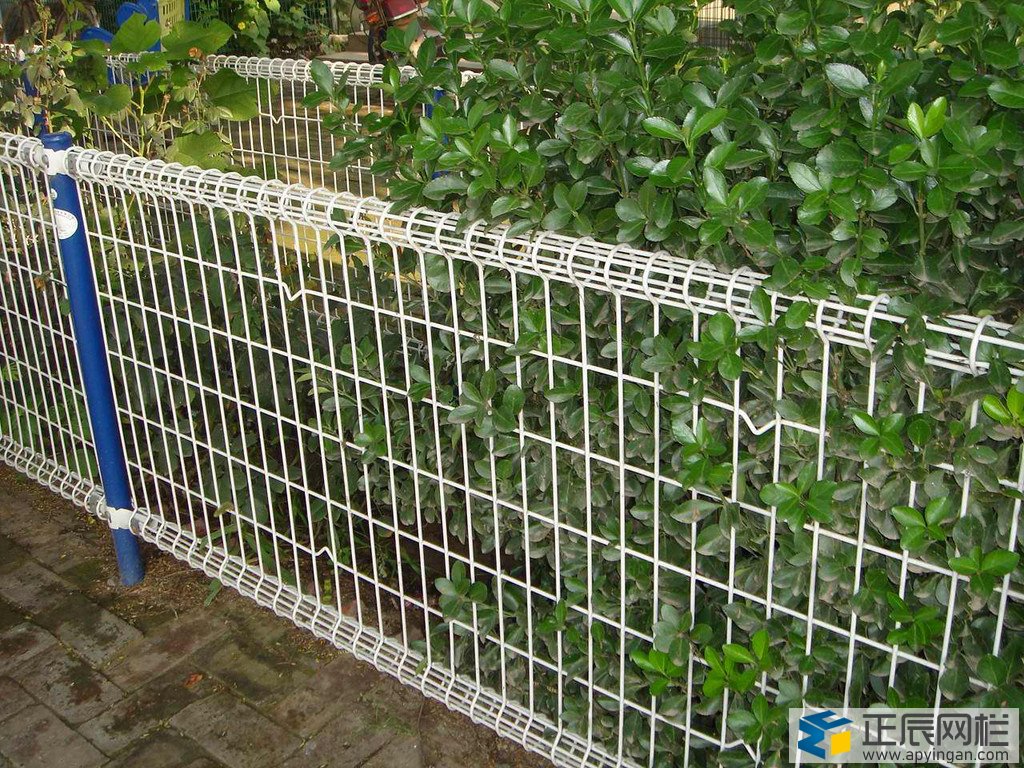 小區(qū)花園護欄網(wǎng)圖片