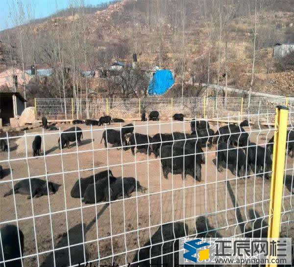 養(yǎng)殖護(hù)欄網(wǎng)哪家好