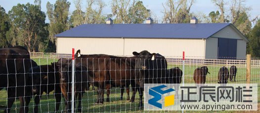 養(yǎng)殖護(hù)欄網(wǎng)哪家好