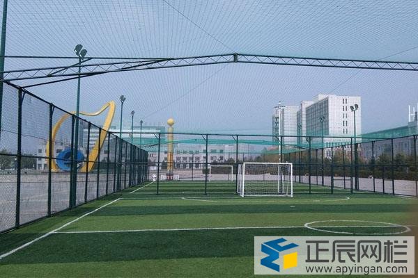 關(guān)于體育場(chǎng)護(hù)欄網(wǎng)的使用說明
