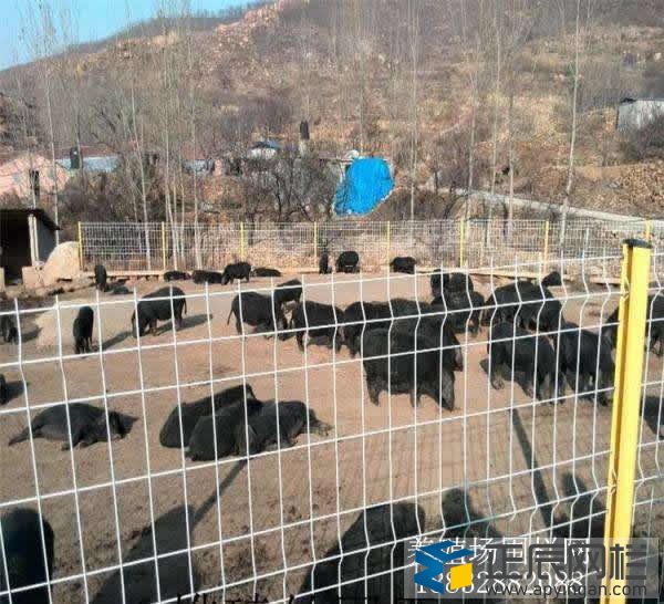 養(yǎng)殖專用圍網(wǎng)