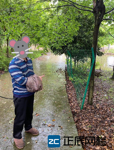 偷盜護(hù)欄網(wǎng)